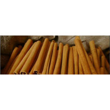 Professional supplier of cinnamon exporter in china for sale